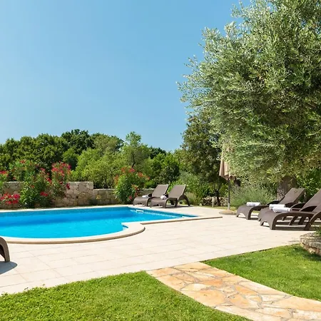 Beautiful Natura With Pool In